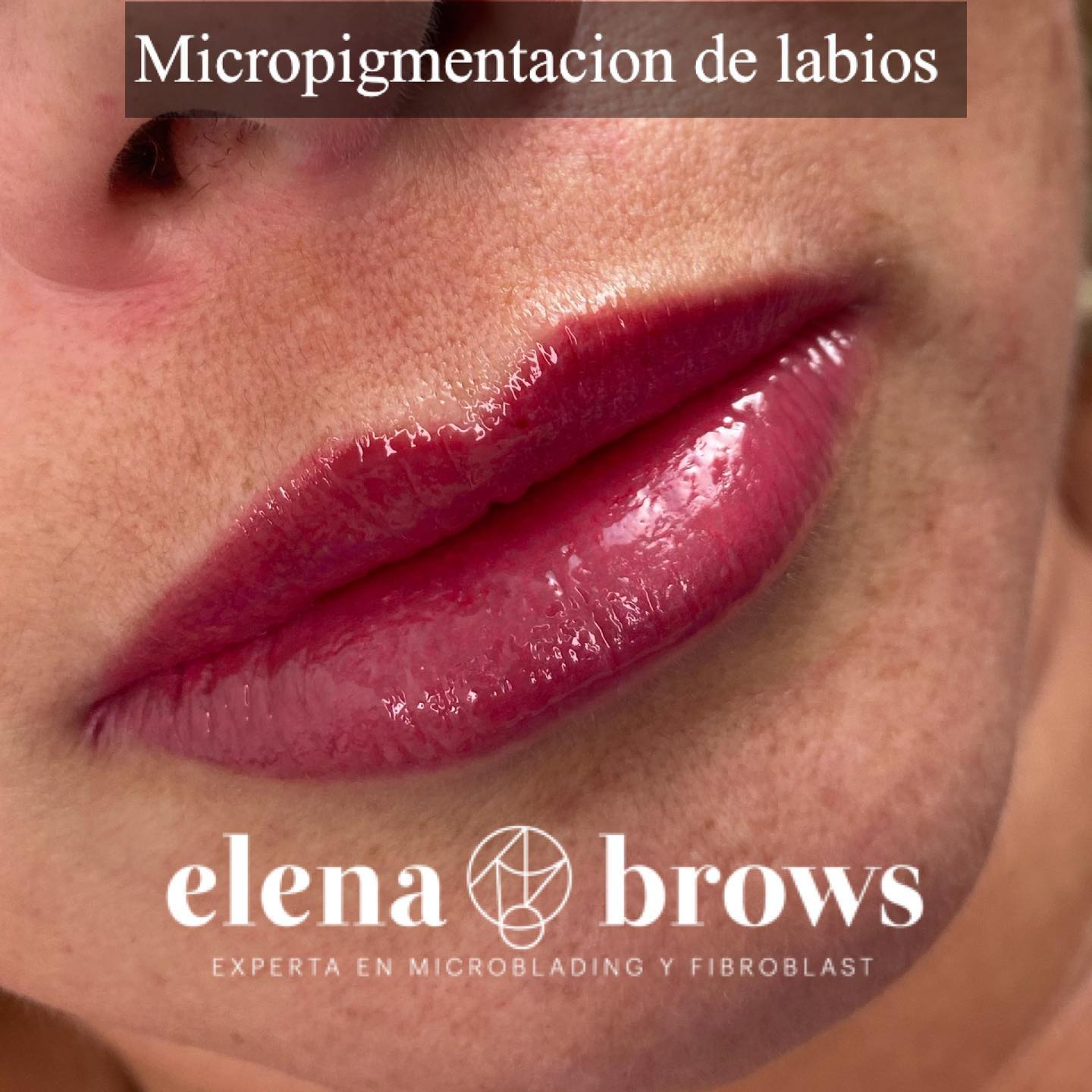 MICROLIPS03