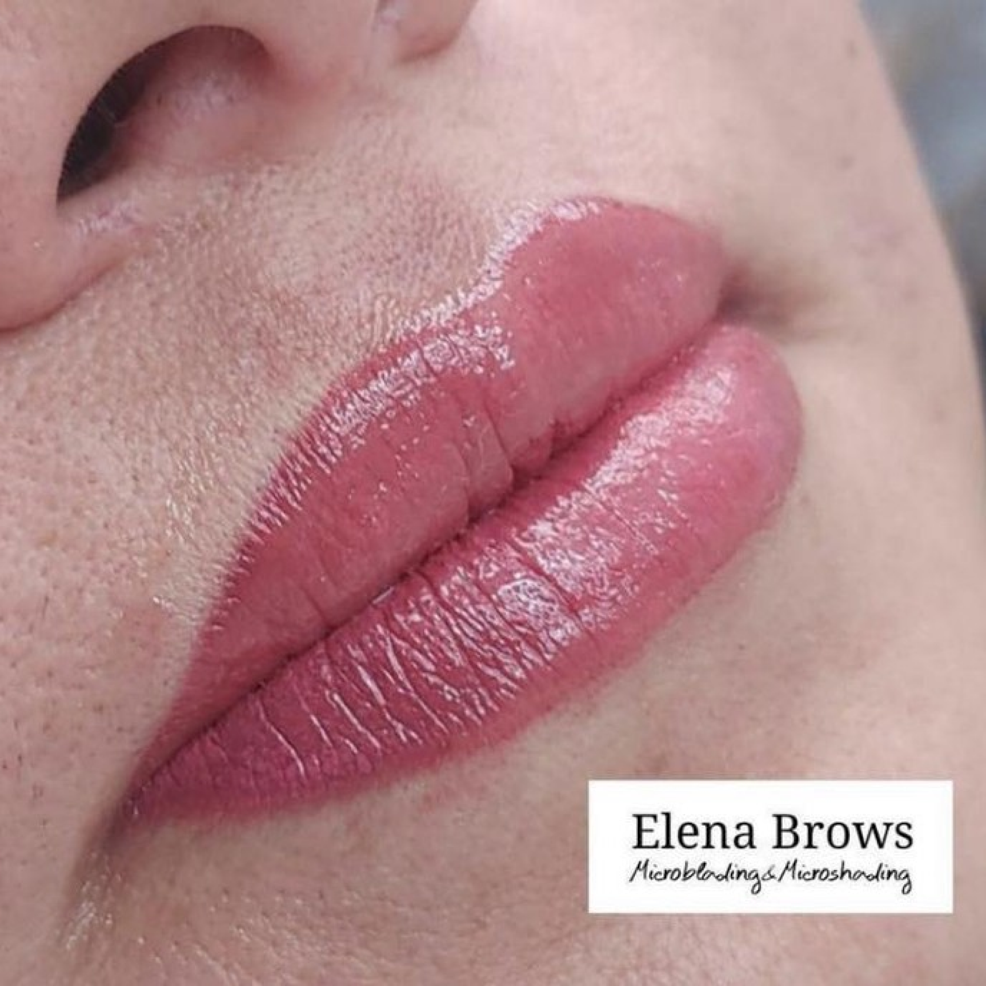 MICROLIPS05