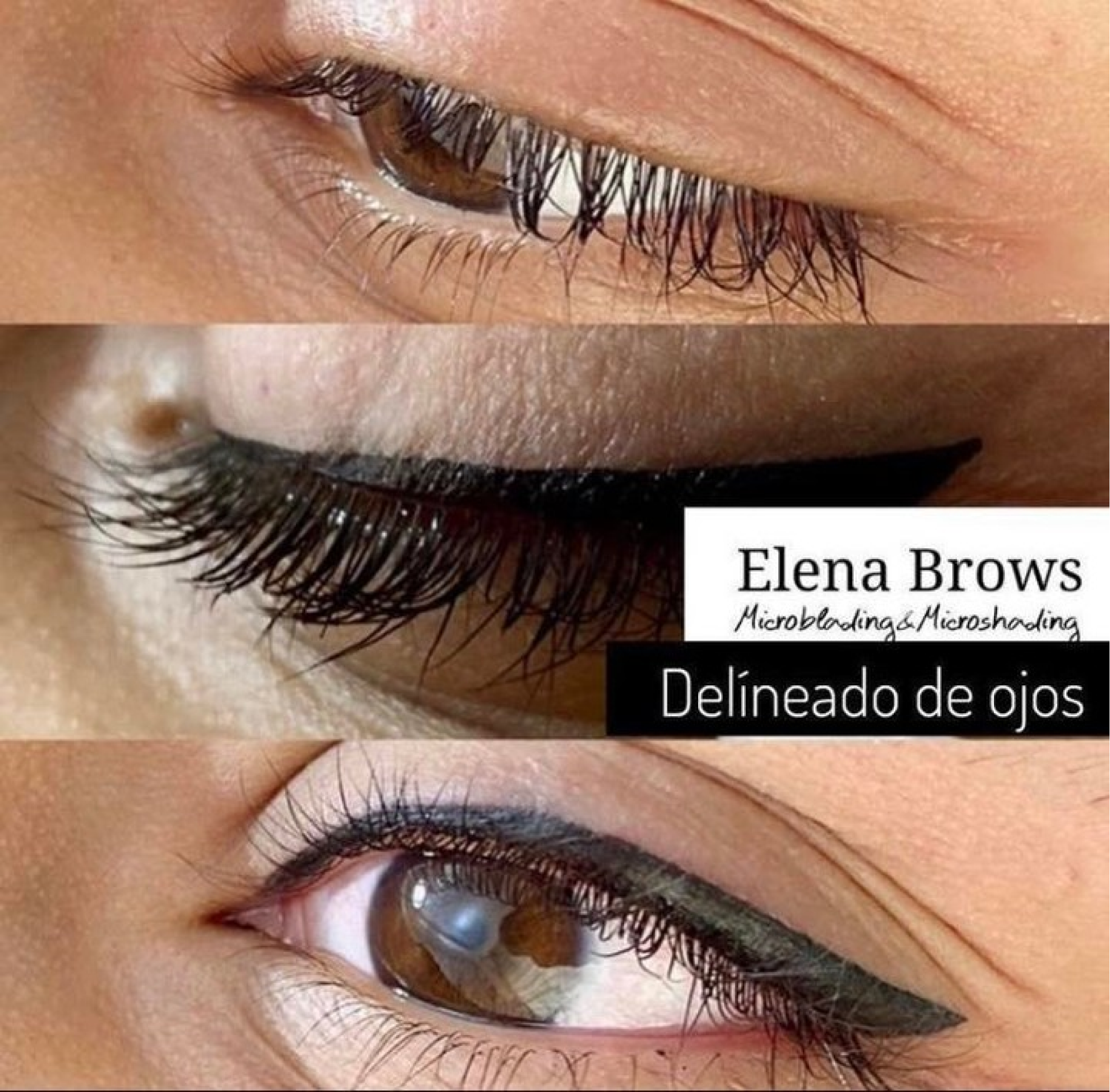 delineado02